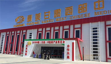 中国（甘肃）中医药产业展览会室外龙门形象